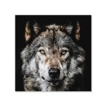 Картина "Wolf"