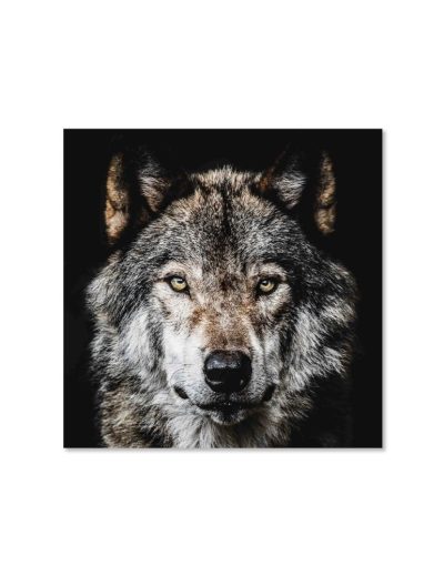 Картина "Wolf"