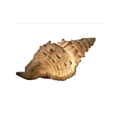 Настолна лампа „Shell“