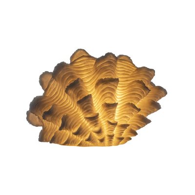 Настолна лампа „Scallop“