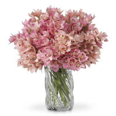 Букет орхидеи Cymbidium, 36 бр