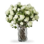 Букет хортензии Snowball, 36 бр