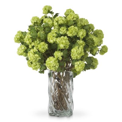 Букет хортензии Snowball, 36 бр