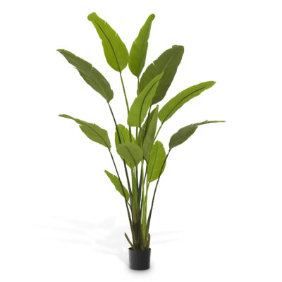 Изкуственото растение „Strelitzia M“